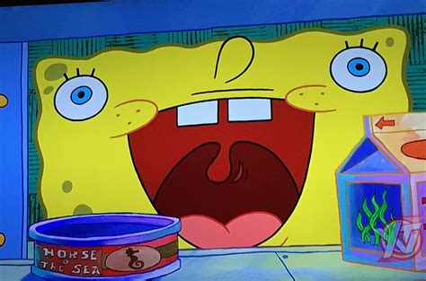 funniest spongebob faces